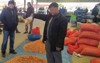 Tohumluk Kuru Soğanın Kilogram Fiyatı 30 Tl’Ye Yükseldi
