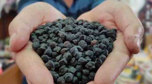 Tohumunu yurt dışından getirdi, yok satıyor