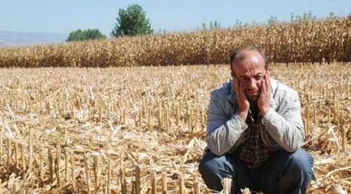 Tokat’ta pes dedirten hırsızlık!
