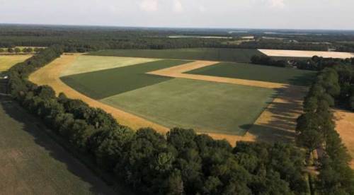 TOKİ Eskişehir dahil 44 ilde yüzlerce arsa satacak: İşte şartlar...