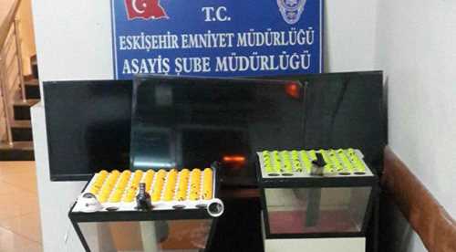 Tombala baskınları hız kesmiyor