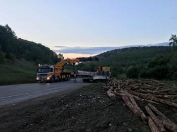 Tomruk Yüklü Tır Devrildi, Sürücü Yaralandı
