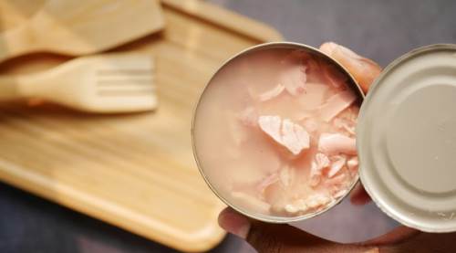 Ton Balığında Selenyum Var Mı?