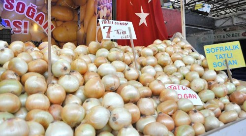 Tonlarca soğan çöpe gidiyor 