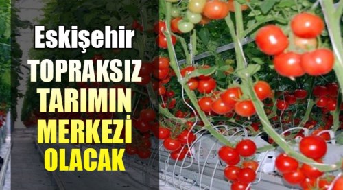 Topraksız tarımın merkezi Eskişehir olacak