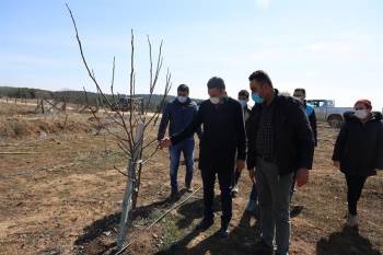 Tozman Yaylalarının Çehresi Değişecek
