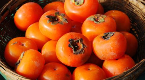 Trabzon hurmasının faydaları nelerdir?