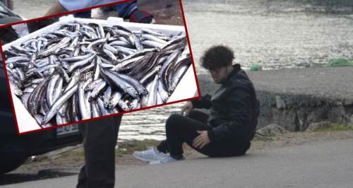 Trafik kazasının sebebi sizi şaşırtacak...