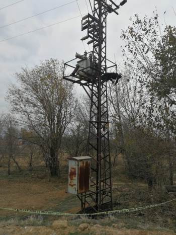 Trafo Üzerinde Yanmış Halde Bulundu
