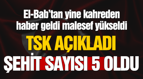TSK açıkladı, şehit sayısı yükseldi