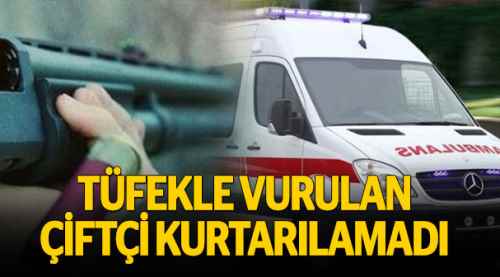 Tüfekle vurulan çiftçi kurtarılamadı