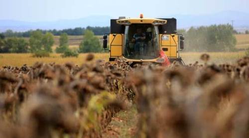 TÜİK verileri zam sinyali verdi: Sebze ve meyve fiyatları artacak mı?