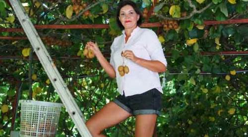 Turistlerin hasat keyfi