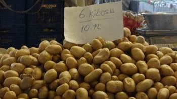 Türkiye’De Bu Yıl 5 Milyon Ton Patates Üretimi Bekleniyor
