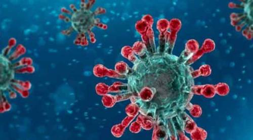 Türkiye’de can kaybı sayısı 4 bin 540'a yükseldi!