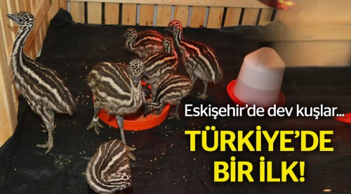 Türkiye'de ilk kez Eskişehir'de oldu!