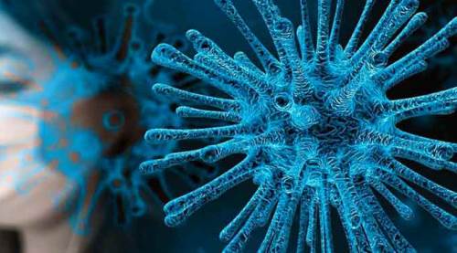 Türkiye'de koronavirüs kaynaklı can kaybı sayısı...