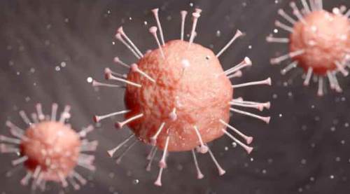 Türkiye'de koronavirüsten bugün kaç kişi öldü? Bakan'dan son dakika açıklaması