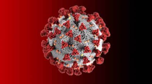 Türkiye'de koronavirüsten ölenlerin sayısı 100'ü aştı!