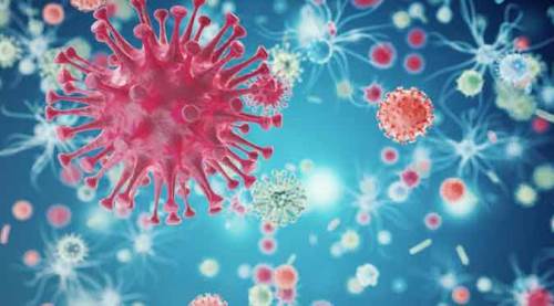 Türkiye'de son 24 saatte 21 kişi daha hayatını kaybetti