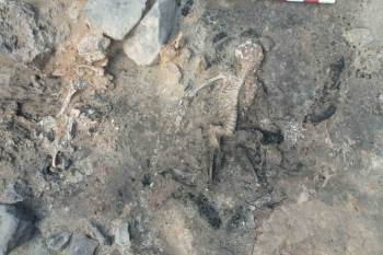 Türkiye’De Yılın En Önemli Arkeolojik Keşfi Seçildi
