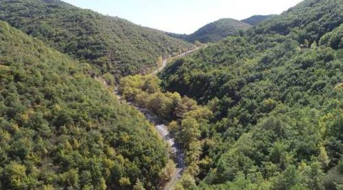Türkiye genelinde kritik duyuru: Yasak başladı, Ağustos’a kadar sürecek!