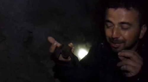 Türkiye koronavirüsü tartışırken o yarasayı yakalayıp...