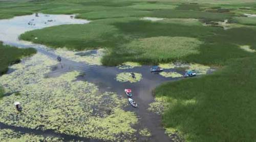 Türkiye'nin dört bir yanından onları görmeye geliyorlar