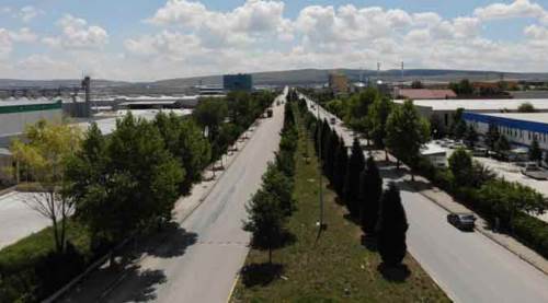 Türkiye'nin en yeşili Eskişehir'de!