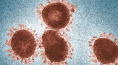 Türkiye'nin güncel koronavirüs tablosu