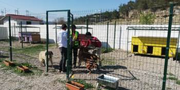 Türkiye’Nin Her Yerine Uzanan Dost Eli
