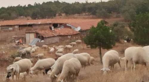 Türkiye'nin hiçbir yerinde yapılmıyor ama Eskişehir'e uygulanıyor!