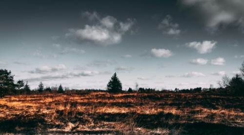 Türkiye’nin İlk İklim Kanunu Nedir?