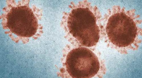 Türkiye'nin koronavirüs tablosunda 28 Kasım 2021