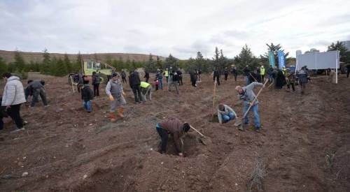 TUSAŞ şehitleri anısına Ankara’da fidanlar toprakla buluştu