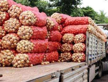 Ücretsiz Patates Ve Soğan Dağıtımı Tamamlandı
