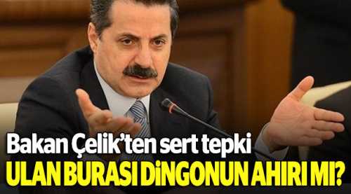 Ulan burası Dingo'nun Ahırı mı?