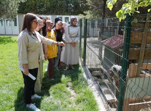 Üniversite öğrencileri Doğal Yaşam Merkezi'nde eğitim aldı