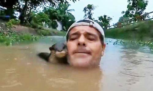 Ünlü belgeselci "Vahşi Frank"ten izleyenleri mutlu edecek video: Peki Frank Cuesta kimdir? Hayatı ve biyografisi...