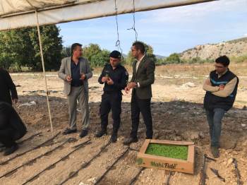 Üreticilere Fide Desteği Devam Ediyor
