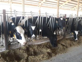 Üreticilere Yüzde 40 Hibe İle Destek
