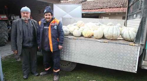 Ürettiği 1,5 ton bal kabağını aşevine bağışladı