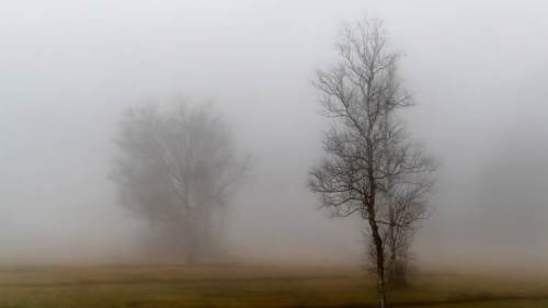 Uşak hava durumu - 1 Şubat 2025