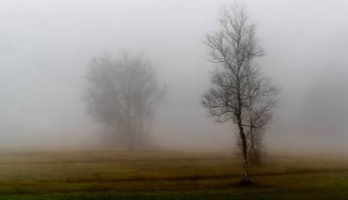 Uşak hava durumu - 15 Şubat 2025