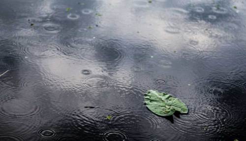 Uşak hava durumu - 18 Şubat 2025