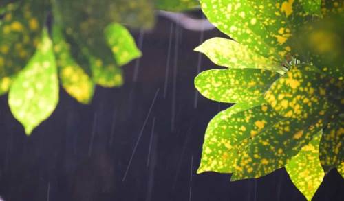 Uşak hava durumu - 3 Nisan 2025