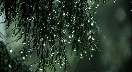 Uşak hava durumu - 31 Mart 2025