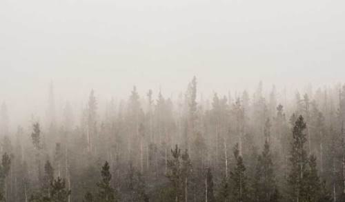 Uşak hava durumu - 6 Şubat 2025