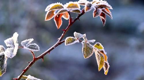 Uşak'ta hava durumu nasıl olacak? (12 Aralık 2024)