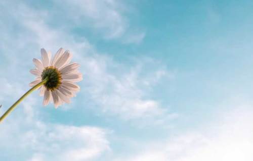 Uşak'ta hava durumu nasıl olacak? (13 Aralık 2024)